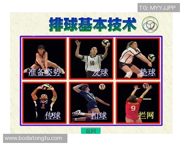 上海排球队进攻策略全解析深度剖析排球战术与团队配合技巧