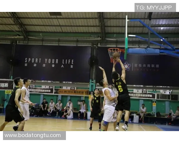 成都排球队在钻石联赛中的比赛经验与表现分析与点评