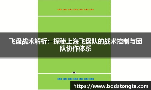 飞盘战术解析：探秘上海飞盘队的战术控制与团队协作体系