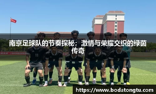 mk体育